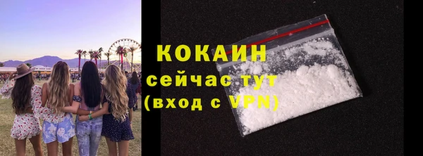 сатива Заводоуковск