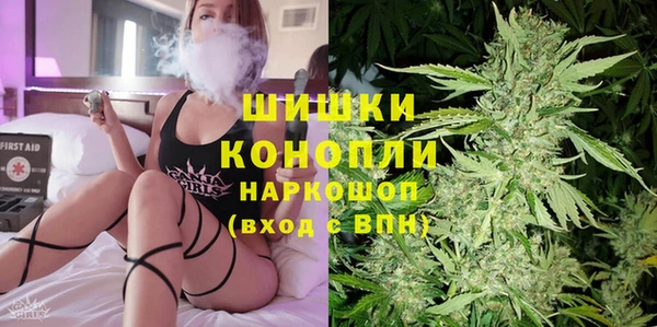 МДПВ Гатчина