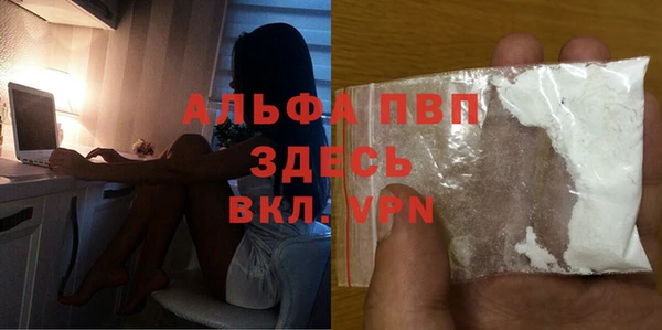сатива Заводоуковск