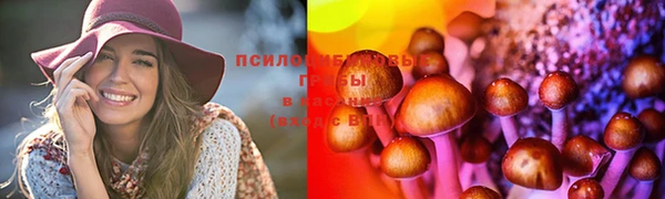 a pvp Заволжск