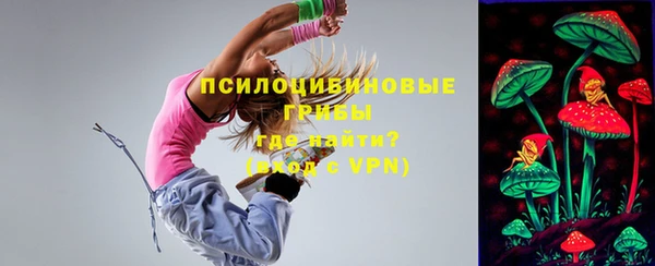 сатива Заводоуковск