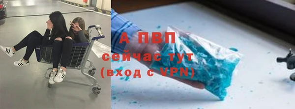 МДПВ Гатчина