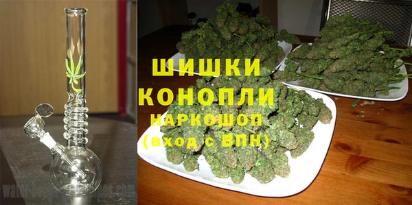 сатива Заводоуковск