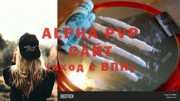 сатива Заводоуковск