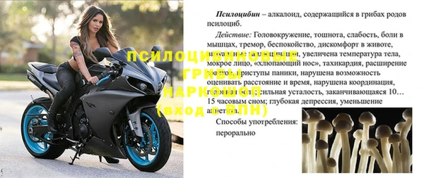 a pvp Заволжск